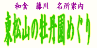 東松山ぼたん園巡り