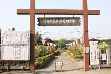 箭弓稲荷神社ぼたん園